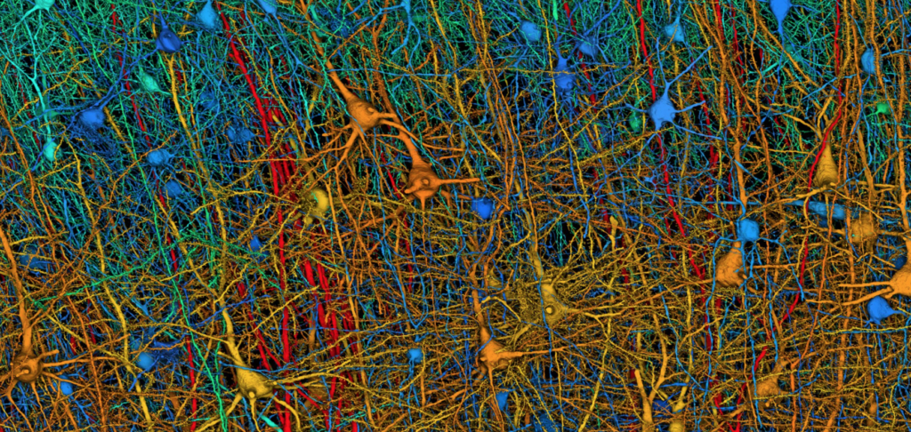 Neuronas a super-ultra-resolución